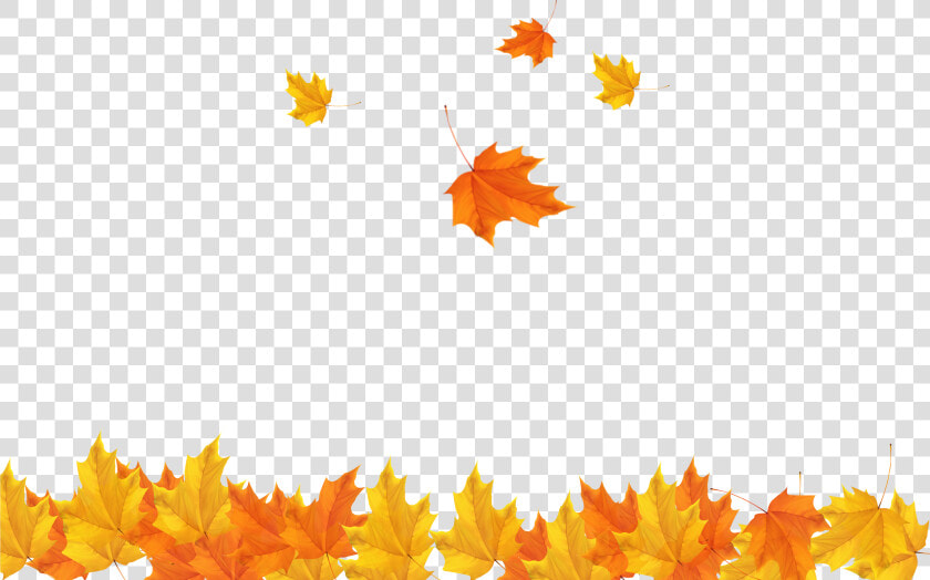 Freeuse Download Autumn Leaves Background Clipart   Transparent Background Fall Leaves Png  Png DownloadTransparent PNG