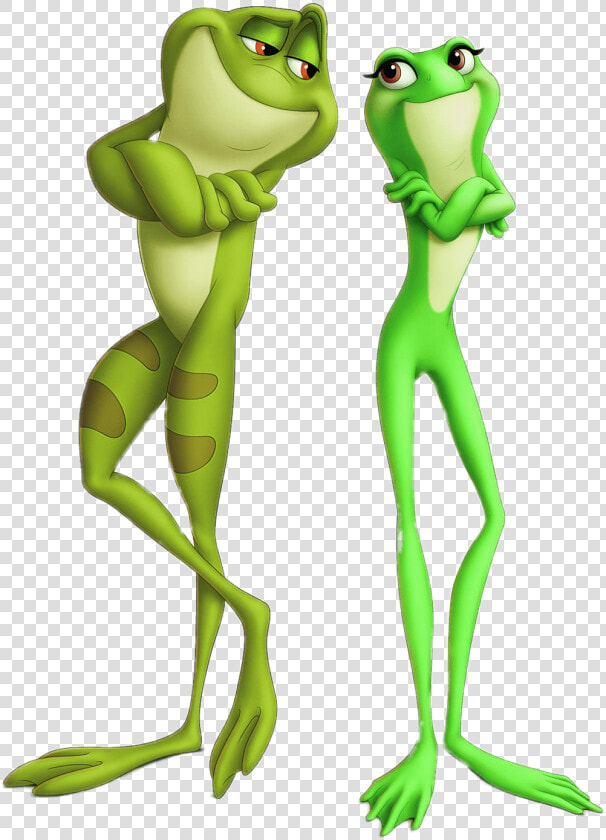 The Princess And The Frog   Princess And The Frog The Frog  HD Png DownloadTransparent PNG