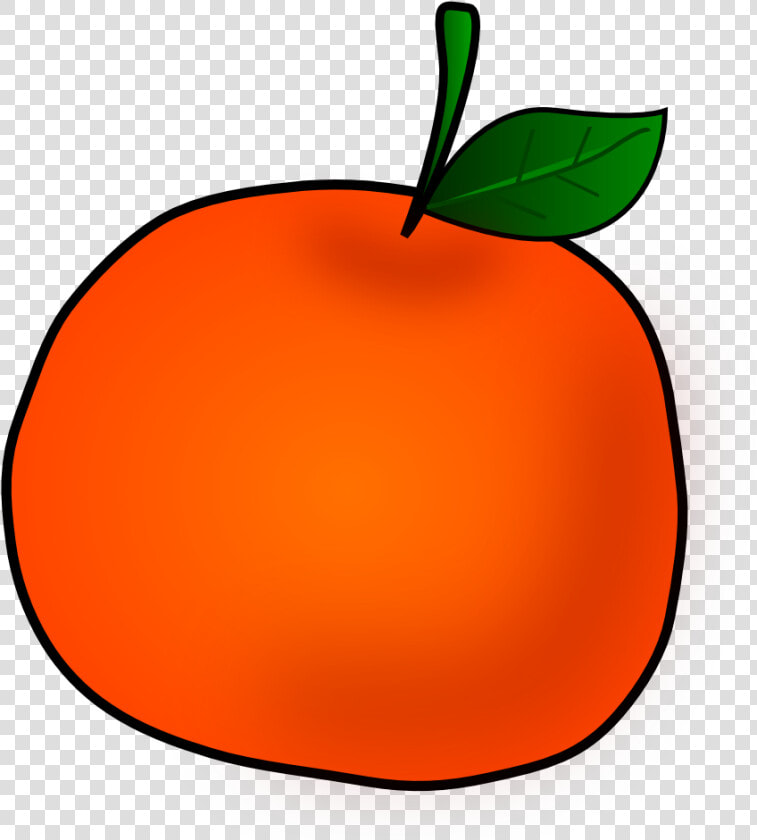 Orange Clip Art Free Clipart Images Png   Orange Clip Art  Transparent PngTransparent PNG