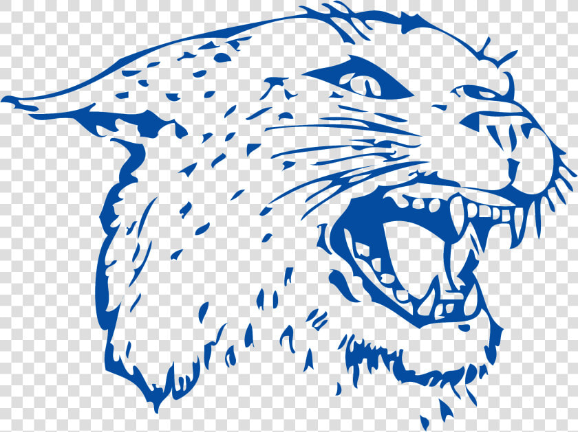 Wildcat Clipart Rogersville   Colton Wildcats  HD Png DownloadTransparent PNG