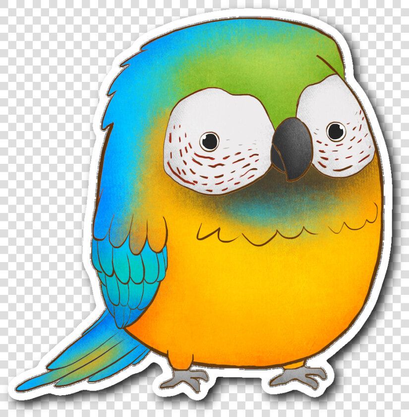 Blue Macaw Sticker   Budgie  HD Png DownloadTransparent PNG