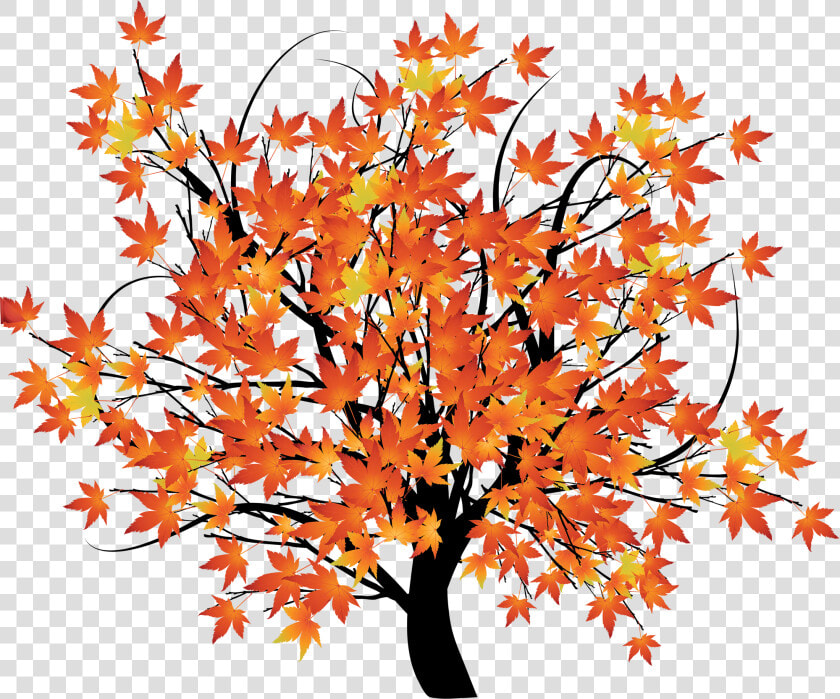 An Autumn Background Scene With Trees   Fall Tree Transparent Background  HD Png DownloadTransparent PNG