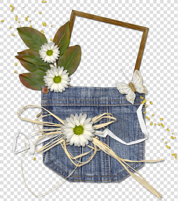 Camomile  HD Png DownloadTransparent PNG