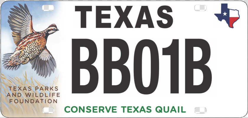 Texas Parks And Wildlife Foundation   Texas License Plates  HD Png DownloadTransparent PNG