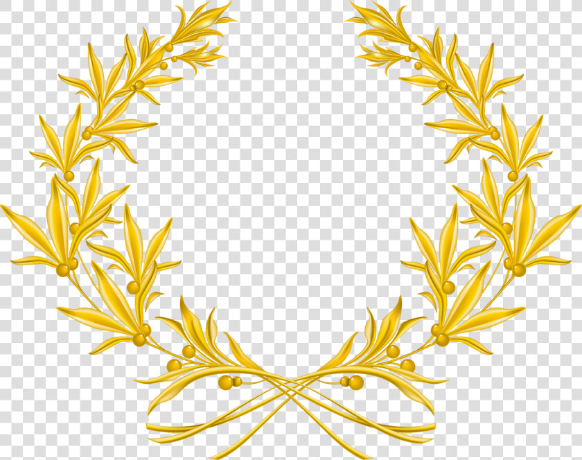 Catnip Drawing Herbal Wreath   Golden Olive Branch Vector  HD Png DownloadTransparent PNG