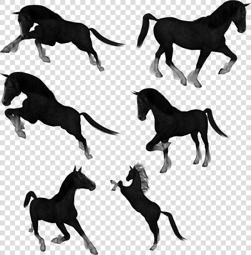 Mustang Drawing Akhal teke Clip Art   Caballo De El Jinete Sin Cabeza  HD Png DownloadTransparent PNG