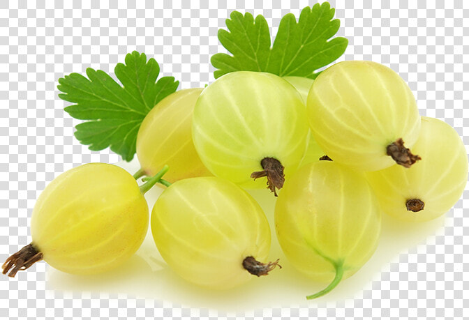 Gooseberry  HD Png DownloadTransparent PNG