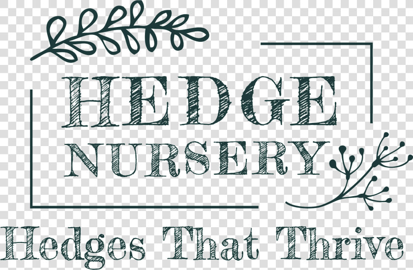 Hedge Nursery   Calligraphy  HD Png DownloadTransparent PNG