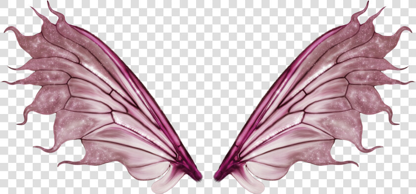 Tatuagem De Asa   Butterfly Fairy Wings Transparent  HD Png DownloadTransparent PNG