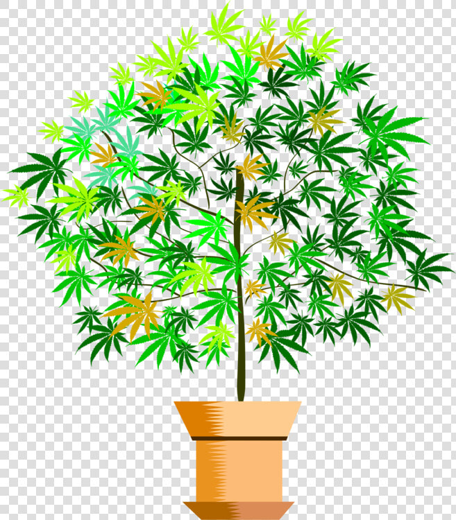 Plant flower leaf   Houseplant  HD Png DownloadTransparent PNG