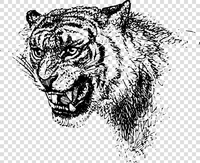 Tiger Head   Black Clip Art Tiger Free  HD Png DownloadTransparent PNG