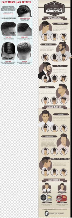 Hairstyle Step By Step The Beauty Department   Mens Hair Products Chart  HD Png DownloadTransparent PNG