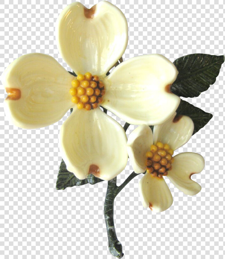 Dogwood Flower Png   Dogwood Flower Transparent  Png DownloadTransparent PNG