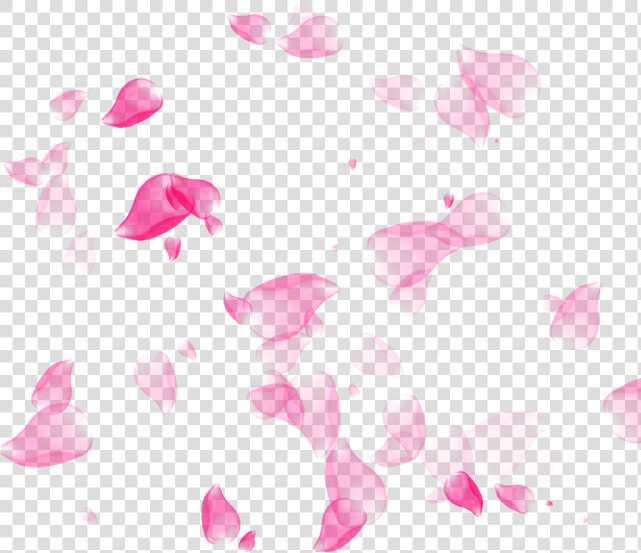 Transparent Cherry Blossom Png   Transparent Background Pink Rose Petals Png  Png DownloadTransparent PNG