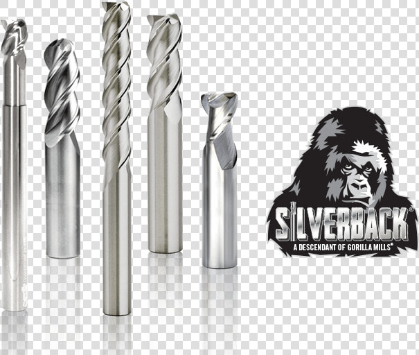 Silverback Lineup And Logo  HD Png DownloadTransparent PNG