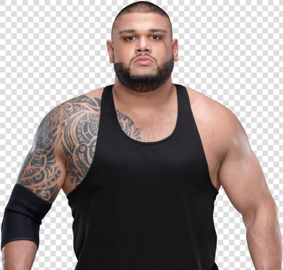 Dusty Rhodes Png  Transparent PngTransparent PNG