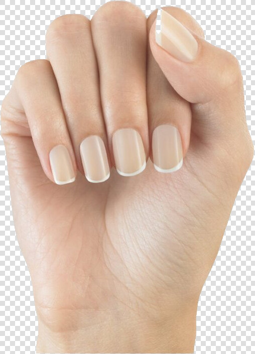 Nails Png Image   Elegant Touch Bare Nails  Transparent PngTransparent PNG