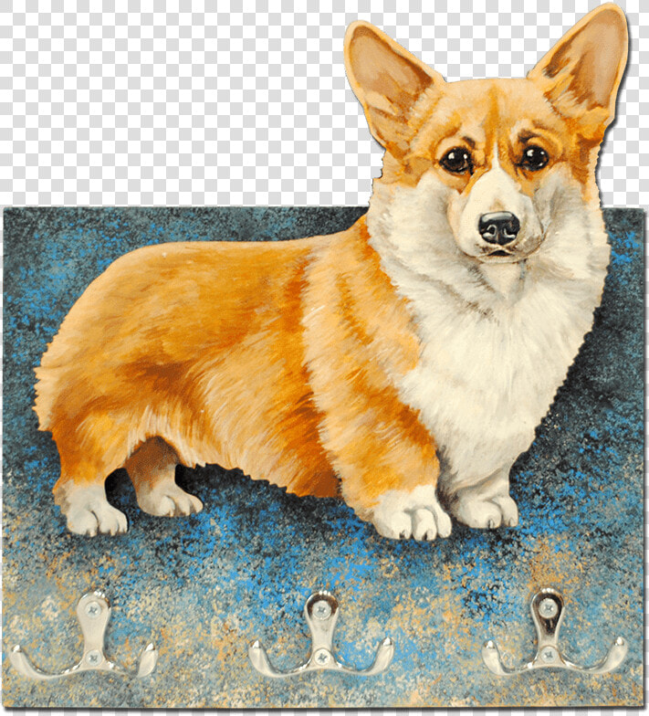 Pembroke Welsh Corgi Cardigan Welsh Corgi Icelandic  HD Png DownloadTransparent PNG