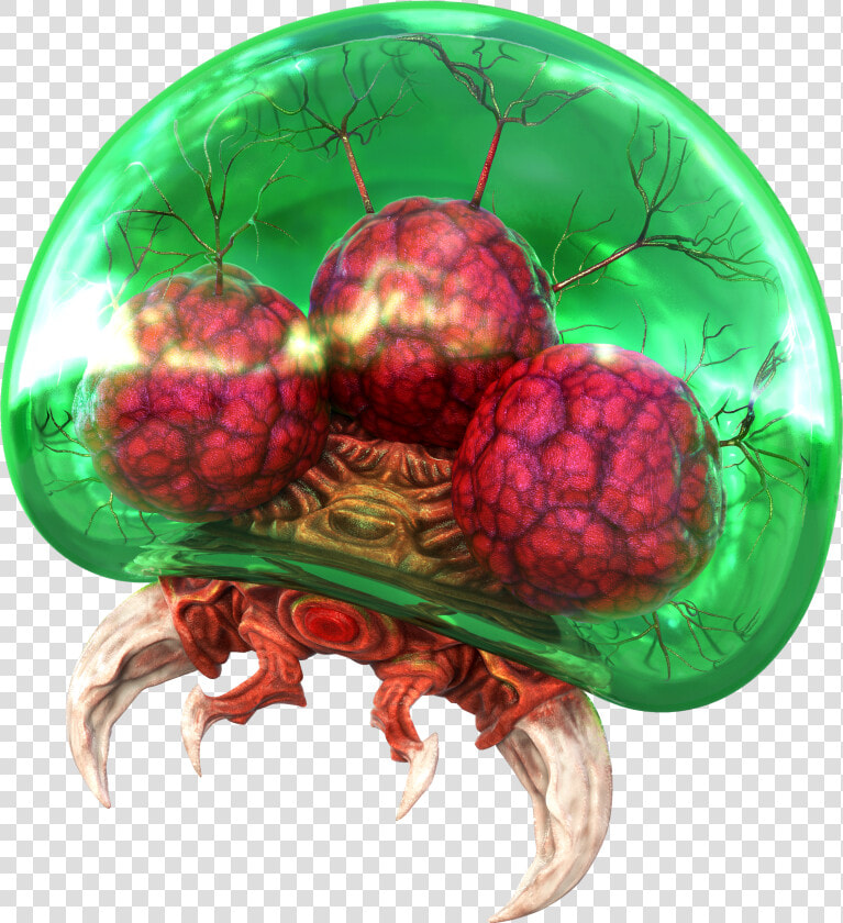 Metroid Samus Returns Metroid  HD Png DownloadTransparent PNG