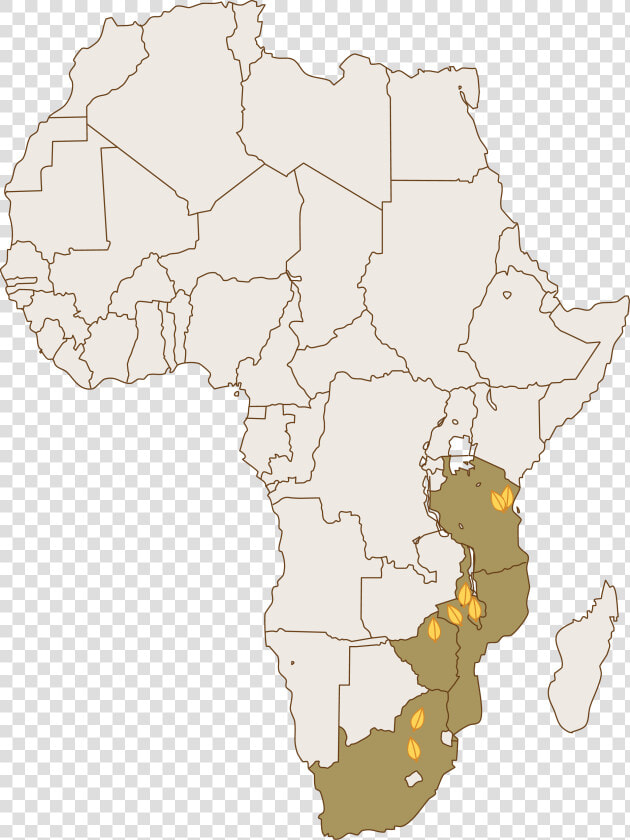 Universal Leaf South Africa Limited   Family Planning In Developed And Developing Country  HD Png DownloadTransparent PNG