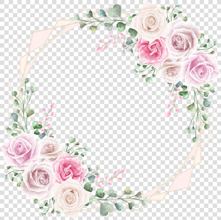  rose  square  gold  frame  glitter  geometric  colorful   Garden Roses  HD Png DownloadTransparent PNG