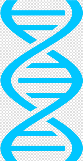 Success Colored Dna Images   Molecula De Dna Png  Transparent PngTransparent PNG