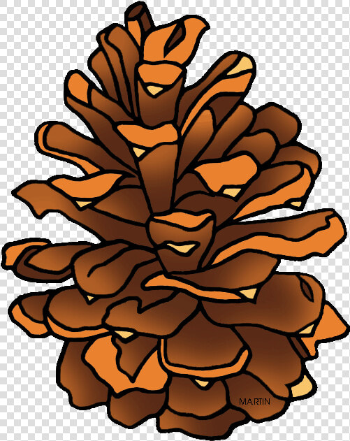 Clipart Pine Cone   Pine Cone Clipart Png  Transparent PngTransparent PNG