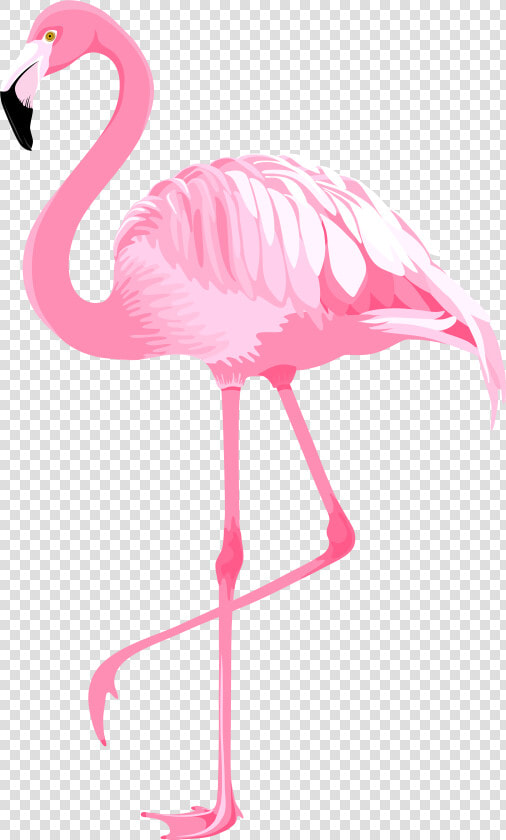 Flamingo Clip Art Pink   Clip Art Flamingo Png  Transparent PngTransparent PNG