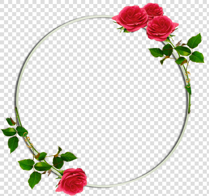  circle  background  floral  flowers  roses  rose  redrose  HD Png DownloadTransparent PNG