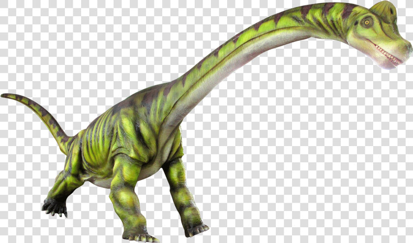 Lesothosaurus  HD Png DownloadTransparent PNG