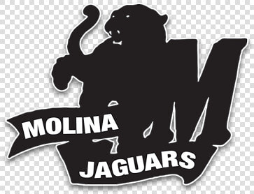 Molina Jaguars Football Data Srcset Https   Silhouette  HD Png DownloadTransparent PNG