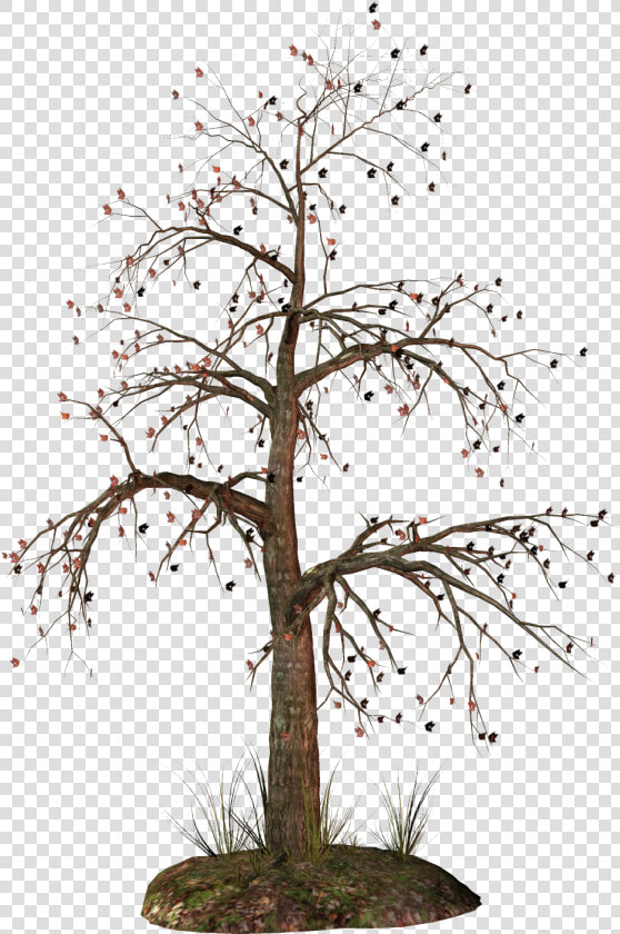 Dead Tree Clipart   Dead Christmas Tree Clipart  HD Png DownloadTransparent PNG