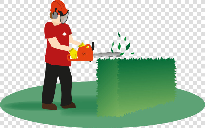 Hedges Clipart Hedge Trimming   Hedging Clipart  HD Png DownloadTransparent PNG