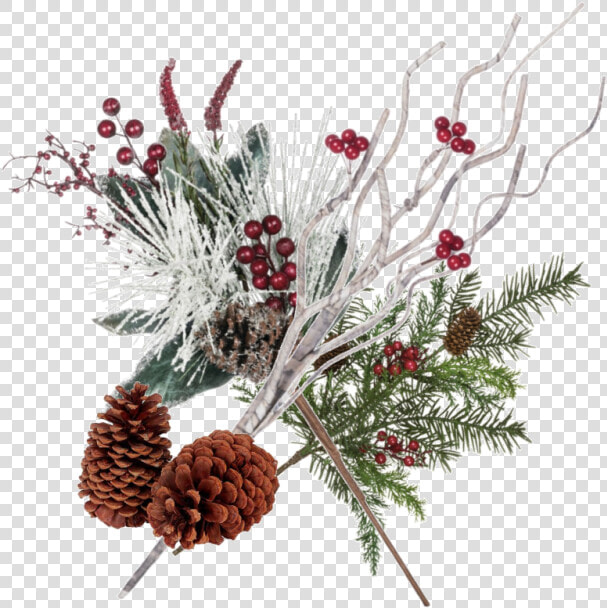 Transparent Pine Cones Png   Winter Pine Cone Transparent Background  Png DownloadTransparent PNG