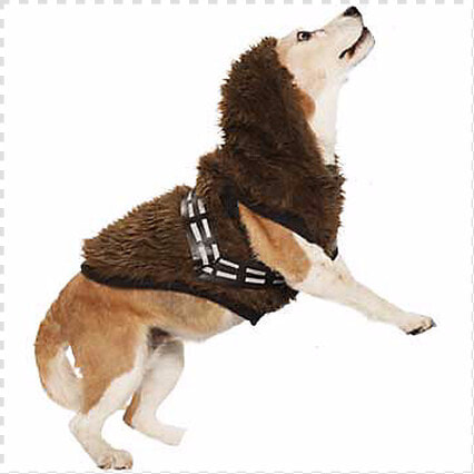 Petco Star Wars Costume Chewbacca  HD Png DownloadTransparent PNG