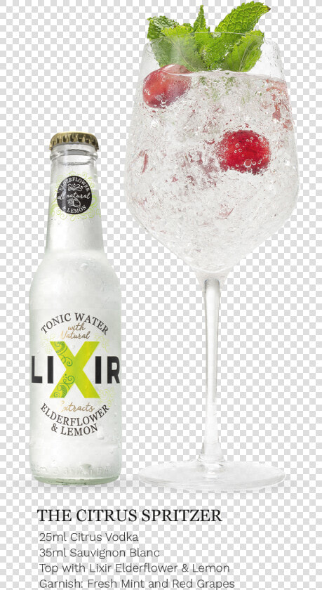 Lxr018 Efl Serves Citrus Spritzer Mobile   Liqueur  HD Png DownloadTransparent PNG