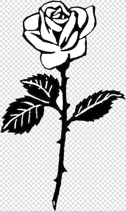 Rose Clipart Schwarz Wei Transparent Png   Rose Clipart  Png DownloadTransparent PNG