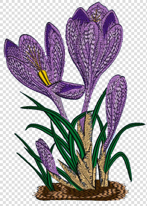 Crocus Clipart   Png Download   Spring Crocus  Transparent PngTransparent PNG