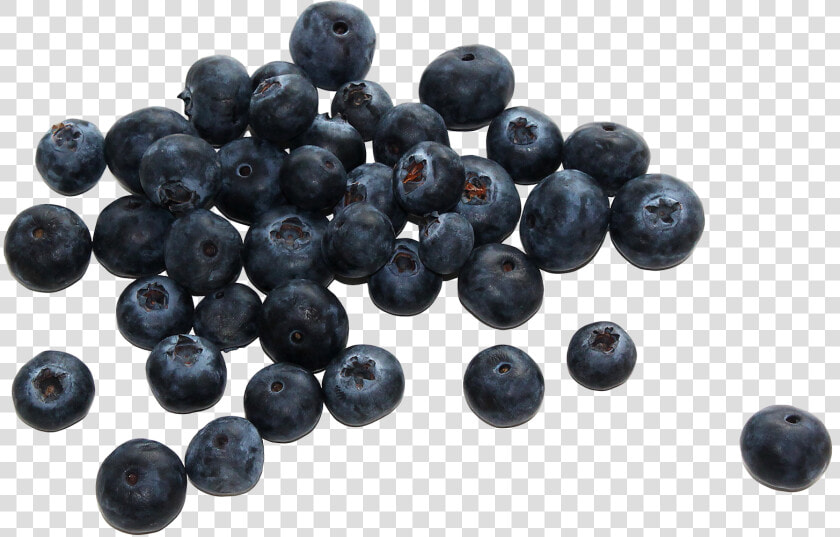 Download Blueberry Png Transparent   Blueberries Png  Png DownloadTransparent PNG