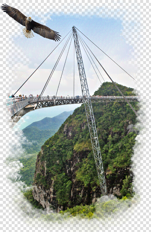 Homepage Skybridge   Langkawi Sky Bridge  HD Png DownloadTransparent PNG