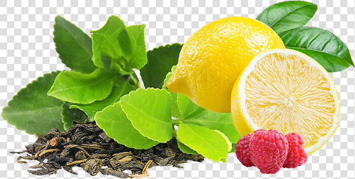 Mellow Mood Archives Marley   Green Tea Leaf Png  Transparent PngTransparent PNG