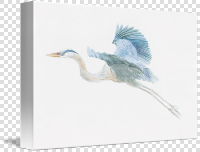 Great Egret  HD Png DownloadTransparent PNG