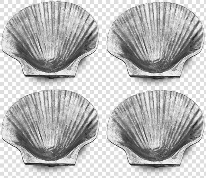 Baltic Clam  HD Png DownloadTransparent PNG