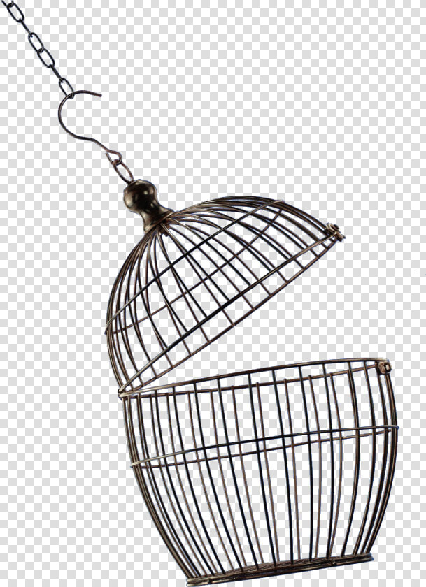 Bird Cage Png Image   Open Bird Cage Png  Transparent PngTransparent PNG