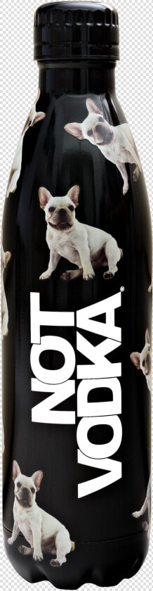 Bull Terrier  miniature   HD Png DownloadTransparent PNG