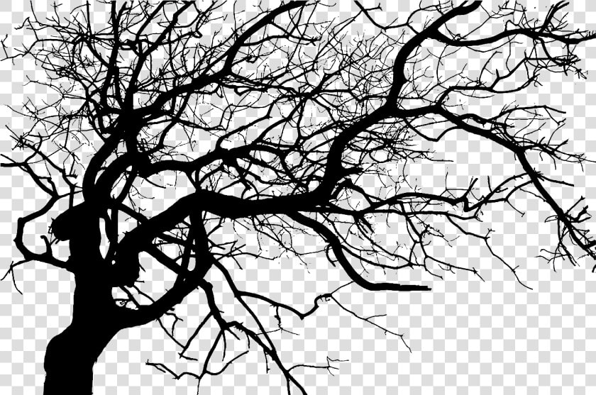 Drawing Creepy Cemetery   Dark Tree Png  Transparent PngTransparent PNG