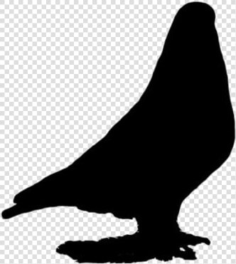 Pigeon Png Transparent Images   Buzzard  Png DownloadTransparent PNG