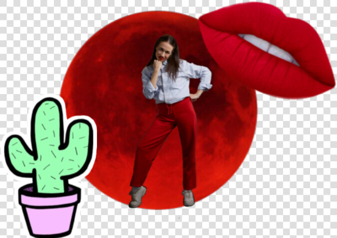  miranda  mirandasings   Cactus  HD Png DownloadTransparent PNG