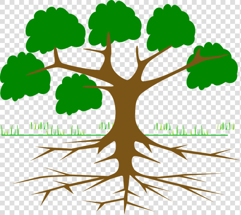 Free Plant Roots Png   Tree With Roots Cartoon  Transparent PngTransparent PNG