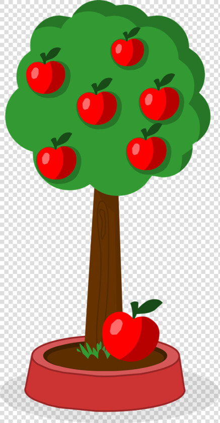 Imagenes Arbol De Manzana  HD Png DownloadTransparent PNG